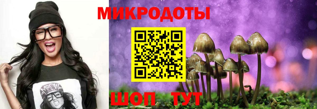 Псилоцибиновые грибы Cubensis Малоярославец